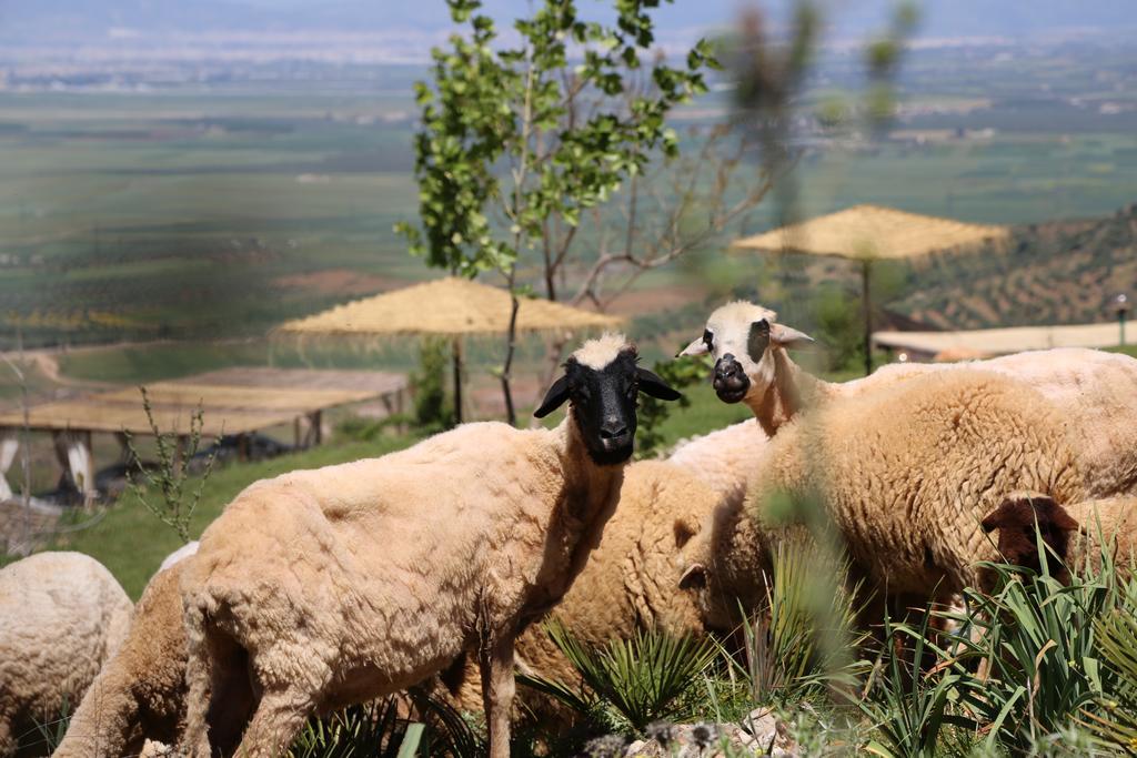 Dar El Mandar - Ferme & Table D'Hote Berbere Bhalil Bagian luar foto